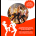 Honky Tonk Line Dance Classics (Vol. 1) [DVD Video]